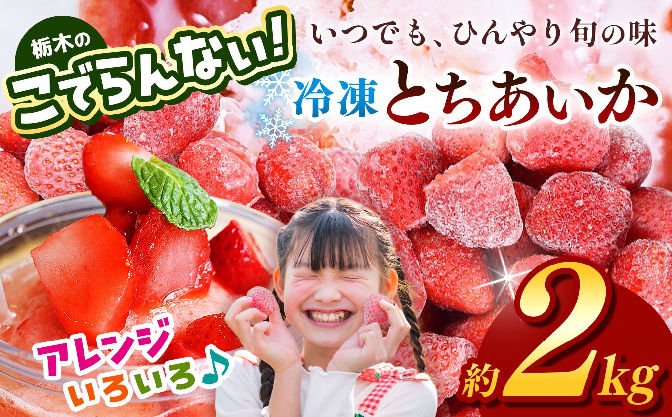 
                  栃木のこでらんない冷凍イチゴ（とちあいか） 選べる 容量 定期便 1回 3回 約2kg｜いちご イチゴ 果物 フルーツ 苺 甘い 美味しい とちあいか 大粒 ジューシー 映え 産地直送 栃木県 真岡市 朝摘み 酸味が少ない 冷凍いちご 日本一
                