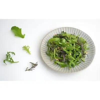国産 ハーブ 詰め合わせセット 約450g 4種 8袋