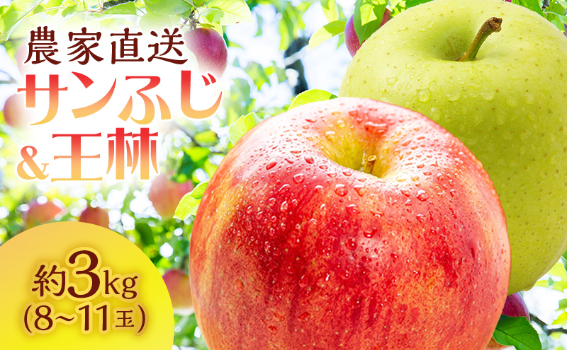 サイキチ農園 サンふじ 王林 約 3kg (8～11玉) 青森県鰺ヶ沢町産 りんご リンゴ  フルーツ 果物 果物類 林檎 