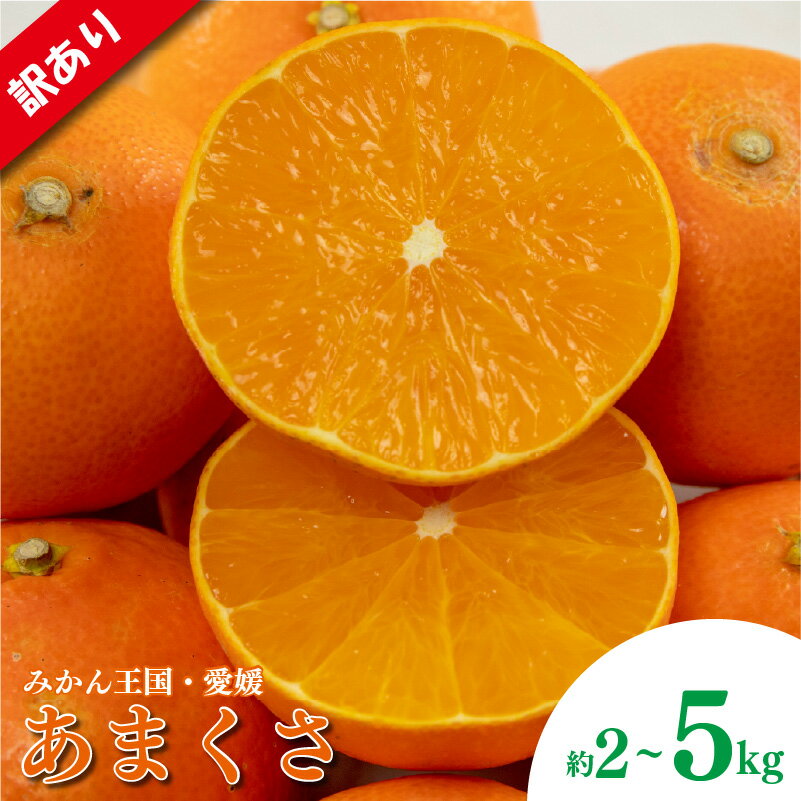 【ふるさと納税】 訳あり みかん 家庭用 あまくさ 約2kg または 約5kg ( 訳あり みかん 訳あり柑橘 訳あり商品 家庭用 みかん あまくさ みかん 紅まどんな の親品種 柑橘 松山市 愛媛県 )