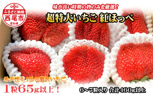 超特大いちご(紅ほっぺ)　460g以上(6〜7粒、１粒65g以上)・O037-17／オオダケイチゴ 