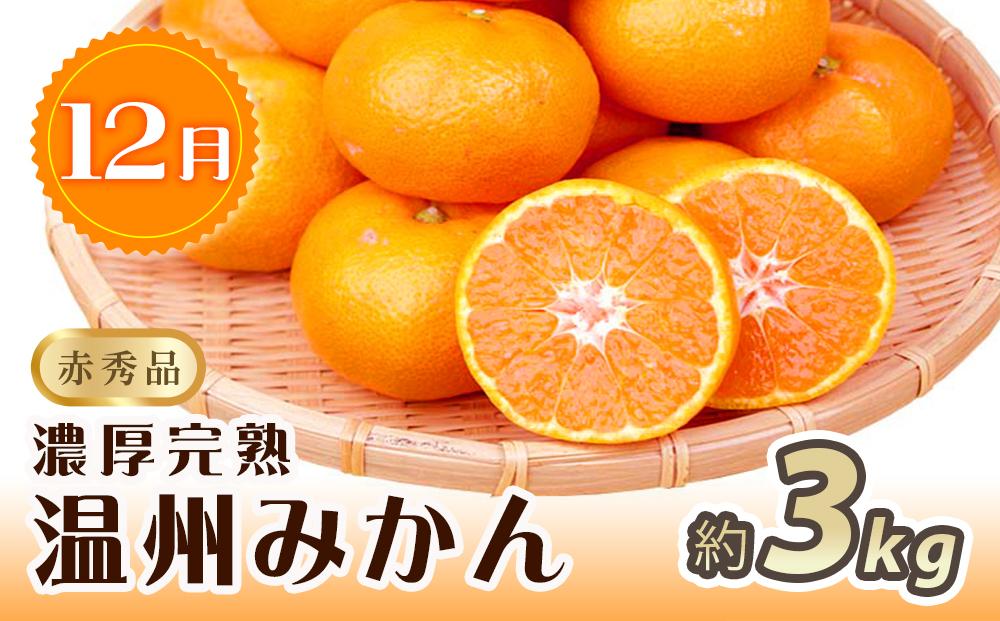 【8・9・12月 全3回 定期便 】紀州和歌山産旬のフルーツセット（種なし巨峰・シャインマスカット・みかん）【UT122】