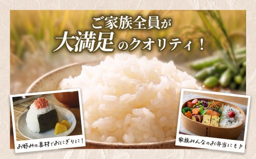 【令和8年産】茨城コシヒカリ 20㎏（5㎏×4袋）【精米】 | お米 米 こしひかり 茨城県産 白米 ブランド米 小分け
