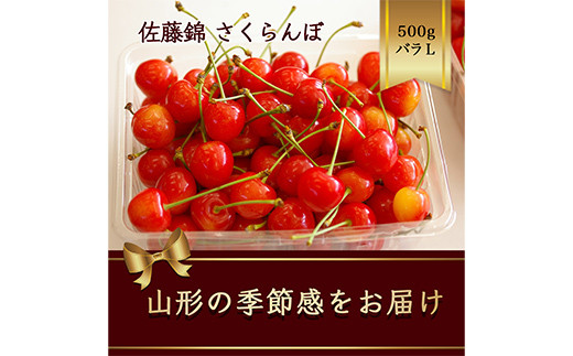 さくらんぼ 佐藤錦 500g×1パック Lサイズ バラ詰め【2025年6月発送】 FSY-1168