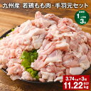 【ふるさと納税】【定期便】【1ヶ月毎3回】九州産 若鶏もも肉（310g×3袋）・手羽元（500g×5袋）セット 計11.22kg（3.74kg×3回） 鶏肉 お肉 モモ肉 もも肉 手羽先 2種類 小分け 冷凍 九州産 国産 熊本県 菊池市 送料無料