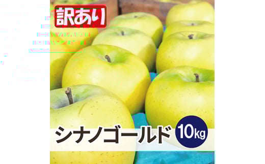 ＜26年3月出荷予定＞平均糖度13度以上! シナノゴールド 約10kg 訳あり【1612913】