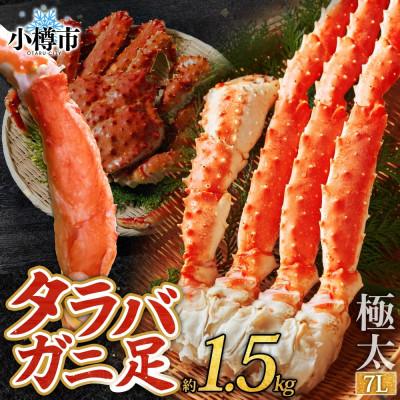 ふるさと納税 小樽市 タラバガニ 蟹足 ボイル 1.5kg 7L 極太 北海道 小樽市