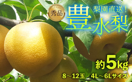 【先行予約】上野梨園の豊水梨 8～12玉入 約5kg  4L～6L【秀品】《数量限定》梨園直送！ / 期間限定 果物 フルーツ 農家直送 シャキシャキ もぎたて 旬 お取り寄せ ※2026年9月上旬より順次発送 [aw077-a021]