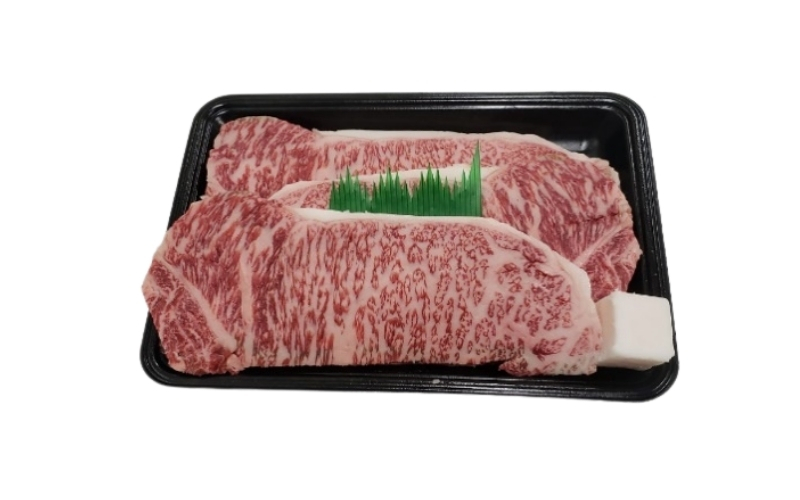 【冷蔵】伊賀肉 森辻の伊賀牛　熟成サーロインステーキ約200g×3枚【mrtj0004-1】