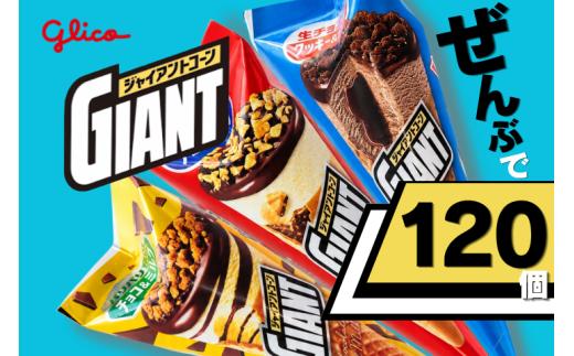 【定期便】グリコアイスクリーム ジャイアントコーン 40個 詰め合わせ「3回お届け」アイスセット 贈り物 お取り寄せ お中元 ギフト 送料無料 食べ比べ チョコ 配達 ファミリーパック