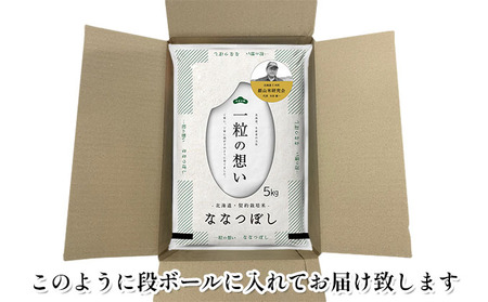 12ヵ月定期便 北海道産ななつぼし 10kg 2025年産米 ななつぼし