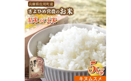 【兵庫県佐用町産】さよひめ営農のお米 5kg キヌムスメ/精米