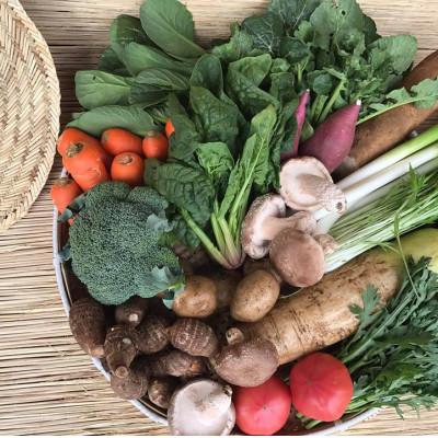 ふるさと納税 鹿嶋市 『身体が喜ぶ野菜』(おまかせ10〜12品) |  | 01