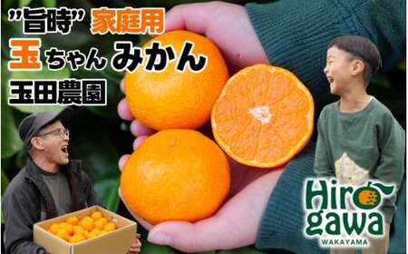 有田 みかん 旨時 体に優しい玉ちゃんみかん 2kg / 温州みかん 有田みかん 甘い 和歌山 柑橘 ※2026年12月初旬～2027年2月中旬に順次発送 【tmd004-cu-2】