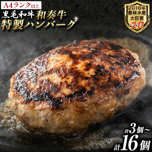 【ふるさと納税】厳選くまもと黒毛和牛ハンバーグ 3個 5個 8個 16個《45日以内に出荷予定(土日祝除く)》熊本県 大津町 和牛焼肉LIEBE くまもと黒毛和牛 ハンバーグ 冷凍 リーベ