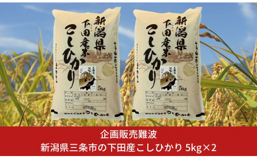 新米 コシヒカリ 10kg(5kg×2) 新潟県三条市下田産こしひかり 新潟県産コシヒカリ 精米 白米 三条市下田産コシヒカリ【020S023】