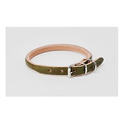 ふるさと納税 姫路市 [53657038]good collar 4号 オリーブ