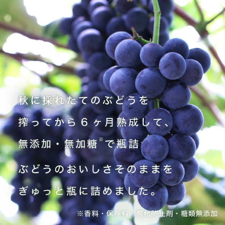 無添加 無加糖 100%ストレート 濃厚 6か月熟成 紫波町のぶどうジュース２本セット 紫波町産 テロワール キャンベル 葡萄 (AL062-1)
