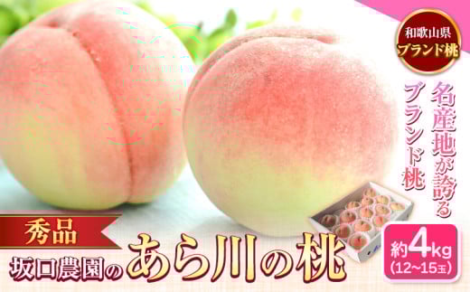 あら川の桃 秀品 約4kg(12~15玉) 坂口農園【先行予約】《2025年6月下旬-8月下旬頃出荷》 和歌山県 紀の川市 桃 もも モモ 白鳳 日川白鳳 紀の里白鳳 清水白桃 川中島白桃 なつっこ 月あかり 黄金桃 あら川の桃 送料無料