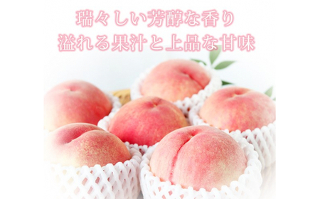 桃 秀品の桃 3玉【uot750】