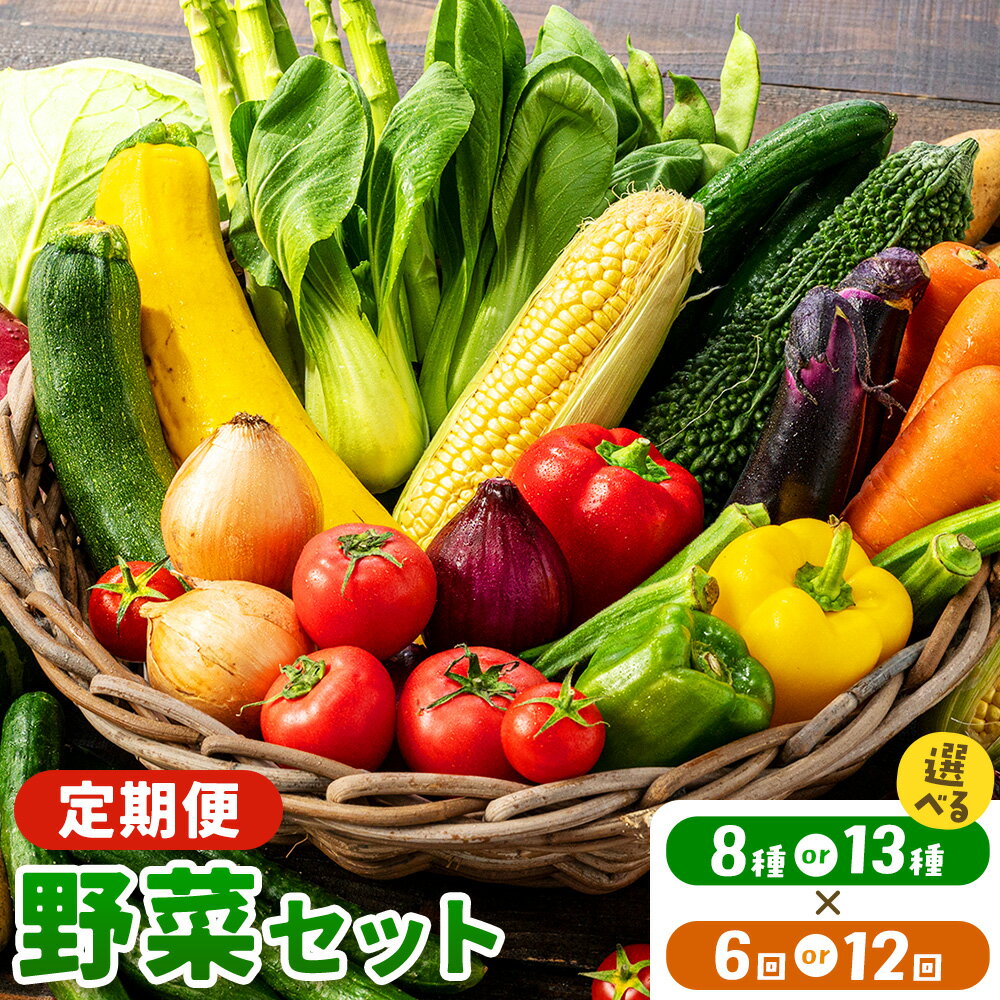 【ふるさと納税】【定期便】和歌山県産 野菜セット 選べる 8種 13種 6回 12回 紀州田舎の小さな八百屋さん《お申込み月の翌月から出荷》和歌山県 日高町 野菜 やさい ヤサイ セット 送料無料