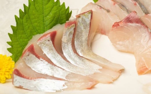 12ヶ月 連続 定期便 こだわり お魚 コース | かつお かつおのたたき かつおのタタキ 鰹のたたき サバ さば 鯛 たい タイ 勘八 カンパチ 鰤 ブリ ぶり 漬け丼 刺身 頒布会 12回 1年間