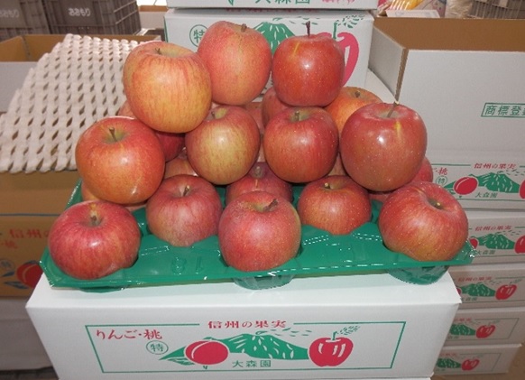 大森園のりんご　サンふじ特秀品約5kg20玉入