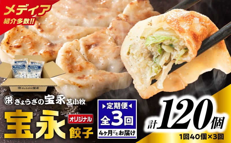 
            【全3回定期便（4ヶ月毎）】宝永餃子10個入セット（宝永餃子10個入×4袋）合計1.0kg　T004-T03-01
          