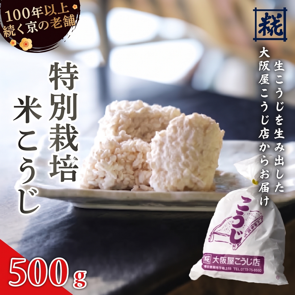特別栽培米 生こうじ 500g | 麹 こうじ 生こうじ 生麹 米麹 手作り 塩麹 味噌 糀味噌 こうじ味噌 麹甘酒 甘酒 和食 発酵食品 味噌づくり 自家製 食品添加物 無添加 冷蔵 京都府 舞鶴市 大阪屋こうじ店 京 老舗 京都 舞鶴