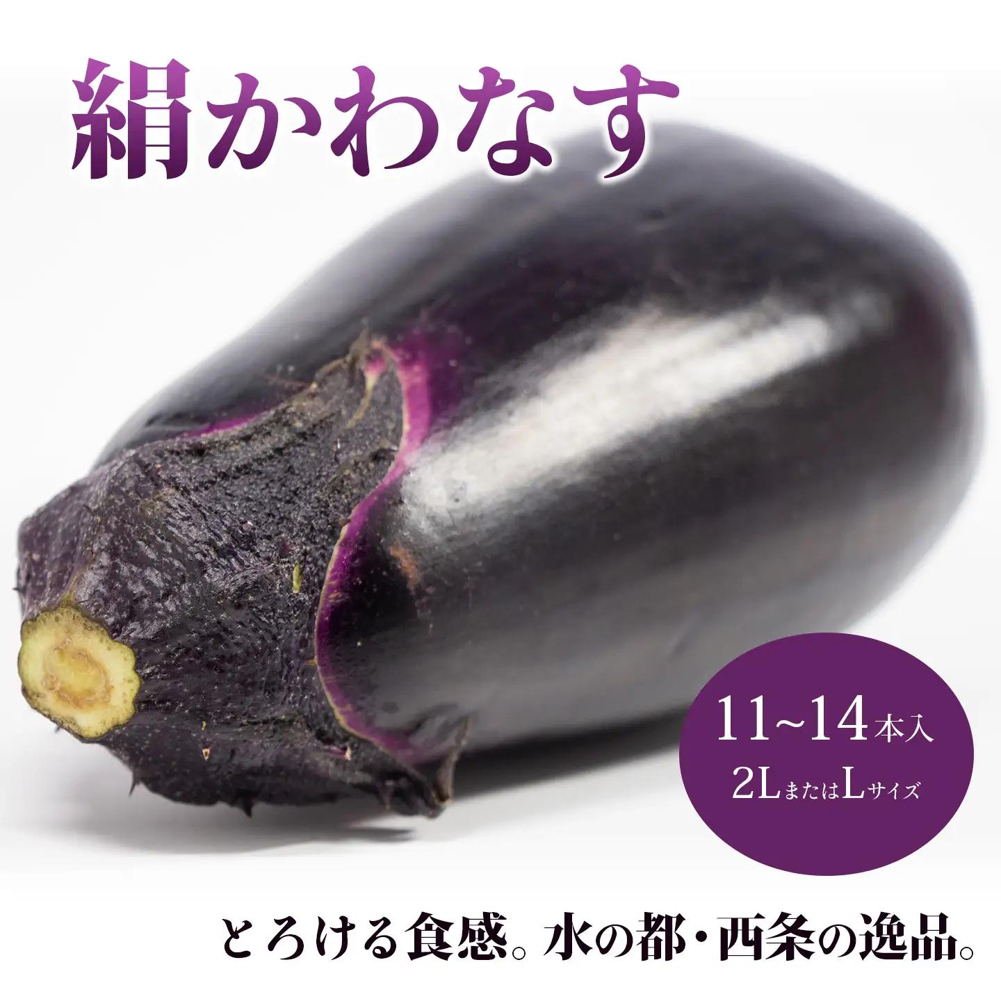 【茄子】絹かわなす 11～14本入り 6月中旬～7月発送 ナス 野菜