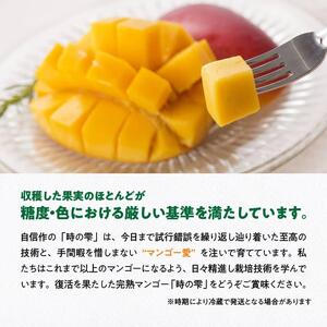 令和６年産 宮崎県産完熟マンゴー「時の雫」2L×1玉【 期間限定 数量限定 先行予約 果物 フルーツ マンゴー 宮崎県産 九州産 完熟マンゴー みやざきマンゴー 】