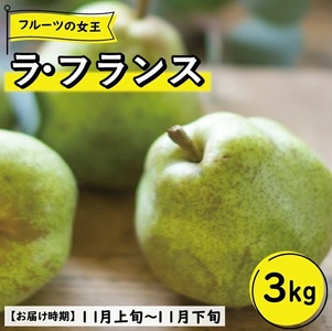 SF0138　【4回定期便】酒田の季節のフルーツ頒布会 Ａコース2024 (大玉メロン、刈屋梨、庄内柿、ラ・フランス)