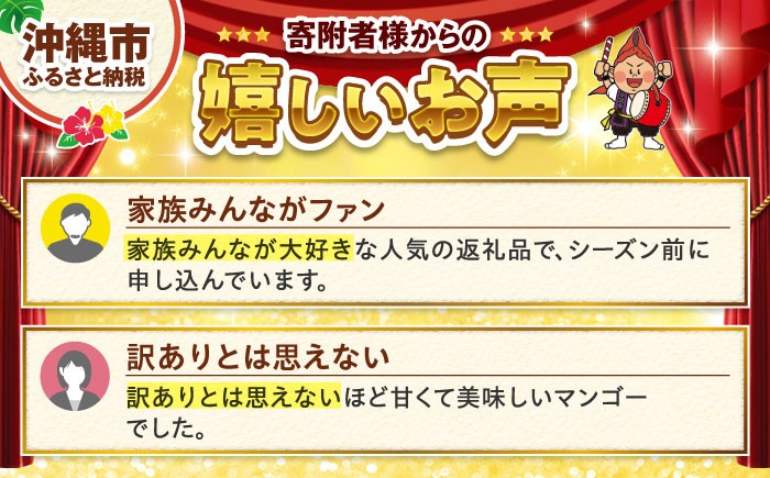 【2026年発送 先行予約 】訳あり 完熟マンゴー 約1.5kg (3〜6玉入) マンゴー 2026 訳あり 沖縄 マンゴー 