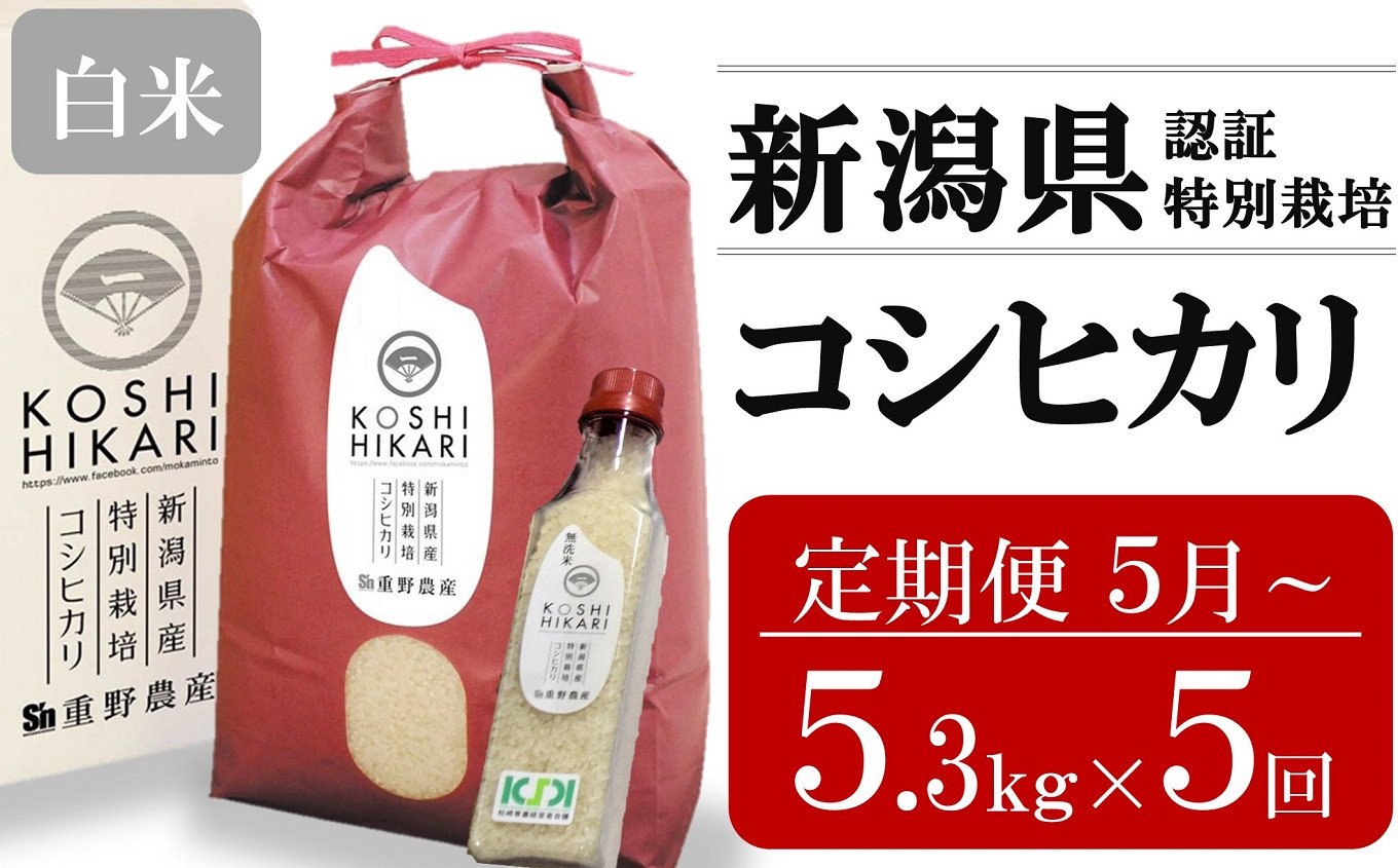 
                  【定期便・5月～発送】コシヒカリ 白米 5kg（ペットボトル米 300g 1本付き）×5回 （計 26.5kg）重ちゃんが愛情込めて作ったお米[Y0353]
                