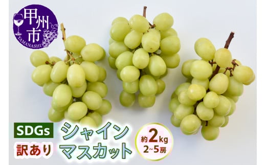 SDGs 訳あり シャインマスカット 約2.0kg（2～5房）【2025年発送】（KSB）B17-131 【シャインマスカット 葡萄 ぶどう ブドウ 令和7年発送 期間限定 山梨県産 甲州市 フルーツ 果物】