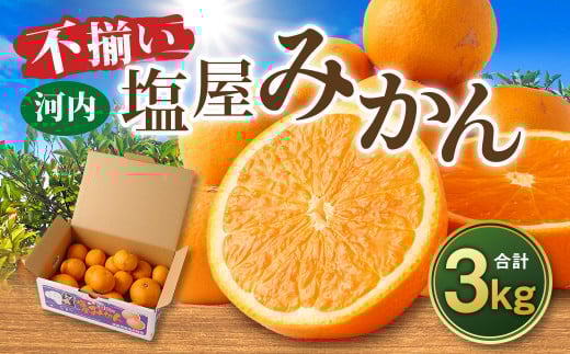 ＜2025年12月発送予定＞【不揃い】選べる 河内 塩屋みかん 3kg 青島みかん 熊本 国産 みかん 蜜柑 ミカン 果物 くだもの フルーツ