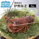 【ふるさと納税】伊勢海老 約 1kg 3～4尾 天然 活き〆 急速 冷凍 漁師直送 新鮮 グルメ 食品 海老 魚介類 海産物 縁起物 バーベキュー グリル ボイル 味噌汁 グラタン パエリア 特産品 鹿児島県 和泊町 沖永良部島 お取り寄せ 送料無料