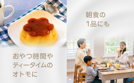 プリン3p 12個セット プリン 中央製乳