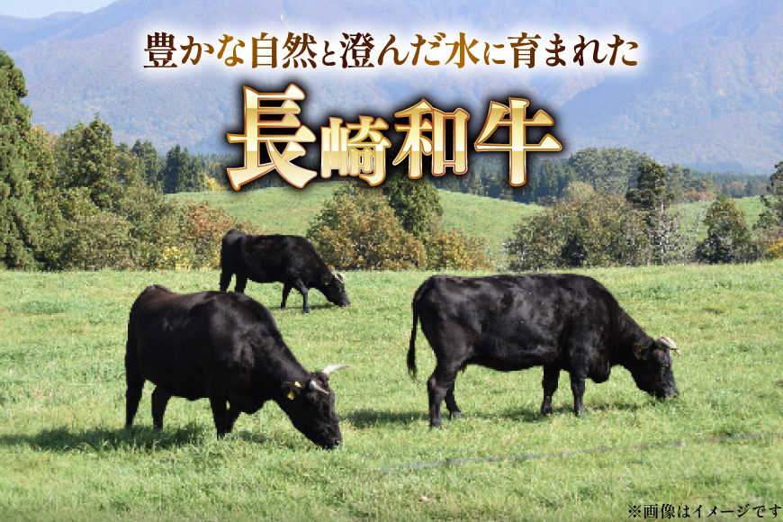 AJ467 長崎和牛 ローススライス 330g 2パック 計660g [ 牛肉 肉 和牛 お肉 すき焼き しゃぶしゃぶ 小分け 国産 冷凍 真空パック 記念日 誕生日 ブランド おすすめ 夜ご飯 柔ら