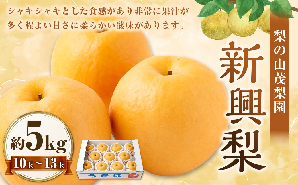 
                  【先行予約】 梨の山茂梨園 新興梨 10玉から13玉 （約5kg） 【2026年10月上旬から11月上旬 出荷予定】 梨 なし ナシ 新興 しんこう 果物 くだもの フルーツ 果実 ジューシー お取り寄せ 福岡県 うきは市
                