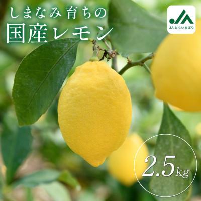 ふるさと納税 今治市 【先行受付】瀬戸内レモン 2.5kg　L〜M　秀品　小箱