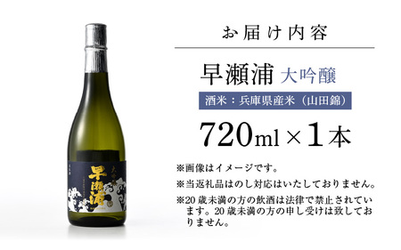 【早瀬浦】大吟醸 720ml × 1本【入手困難 日本酒 地酒 福井 美浜 早瀬 フルーティ 男酒 硬水 ミネラル 希少 ご褒美 家飲み 就職祝い 転職祝い ハレの日】 [m16-a023]