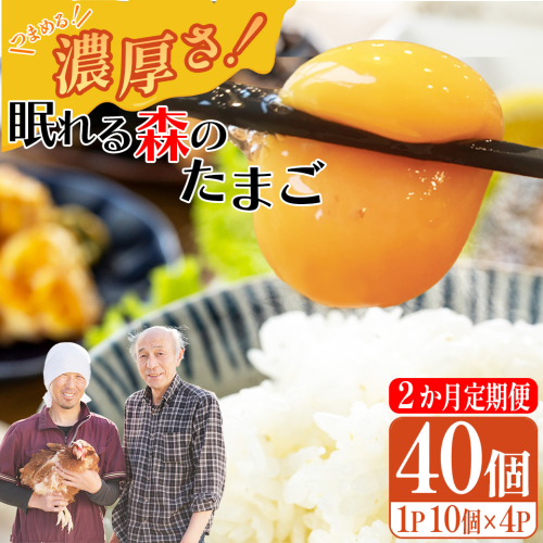 【2か月連続お届け】眠れる森のたまご 朝採れ卵40個　たまご タマゴ 卵 鶏卵 濃厚 こだわり 新鮮 定期便　【04301-0797】