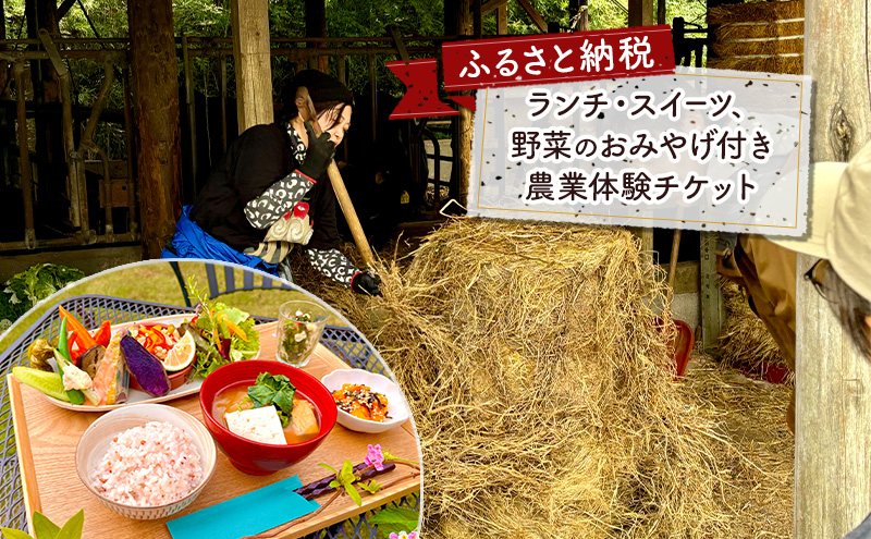 タンジョウ農場 農場体験 家族3名様分 体験 農業体験 チケット ランチ スイーツ 野菜のおみやげ付 千葉市 千葉県