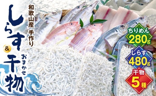 
                  しらす ・ 干物 おまかせ詰め合わせ セット C【しらす干し ちりめんじゃこ シラス 魚 干物セット 詰め合わせ】_DL6003
                