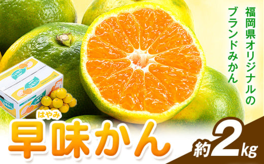 みかん 早味かん 約2kg  南国フルーツ株式会社《9月中旬-9月下旬頃出荷》福岡県 鞍手町 福岡県産 みかん 早味かん フルーツ 果物