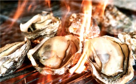 糸島 カキ 3,000円分 飲食 チケット 糸島市 / 糸島漁業協同組合 [AKD002] 送料無料 かき 牡蠣 カキ 牡蠣鍋 国産 糸島 鍋 チケット カキ小屋