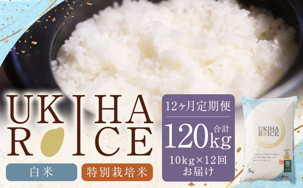 
            【12ヶ月定期便】みずほファーム UKIHA RICE (白米10kg×12ヶ月)  【特別栽培米】 【2025年11月より順次発送予定】 米 ヒノヒカリ お米 ご飯 うきは市
          