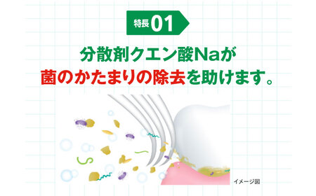 ガム・デンタルペースト 155g×20本[AOAD026] 歯磨き粉