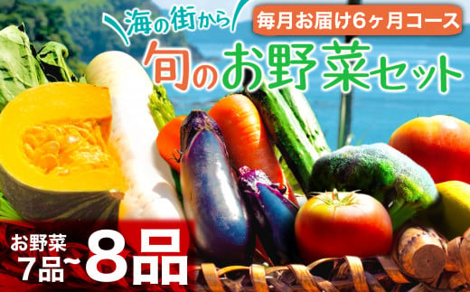 定期便 6回 6か月 半年 野菜 7~8品程度 詰め合わせ セット 毎月お届け 半年間 高知県 須崎市 （ 小夏 キャベツ ネギ ピーマン オクラ きゅうり かぼちゃ パプリカ ブロッコリー トマト 